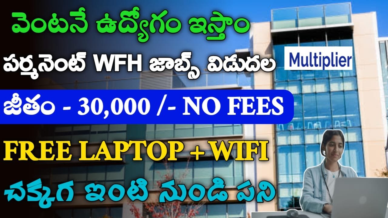 Multiplier Work From Home Jobs 2024