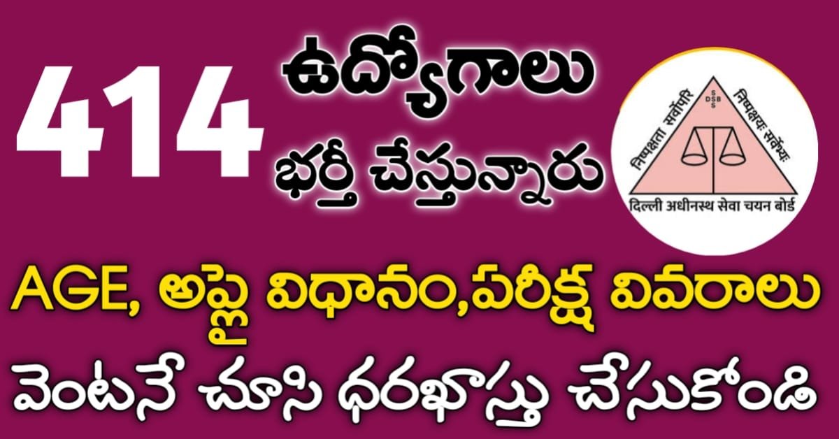 DSSSB Jobs Notification 2024