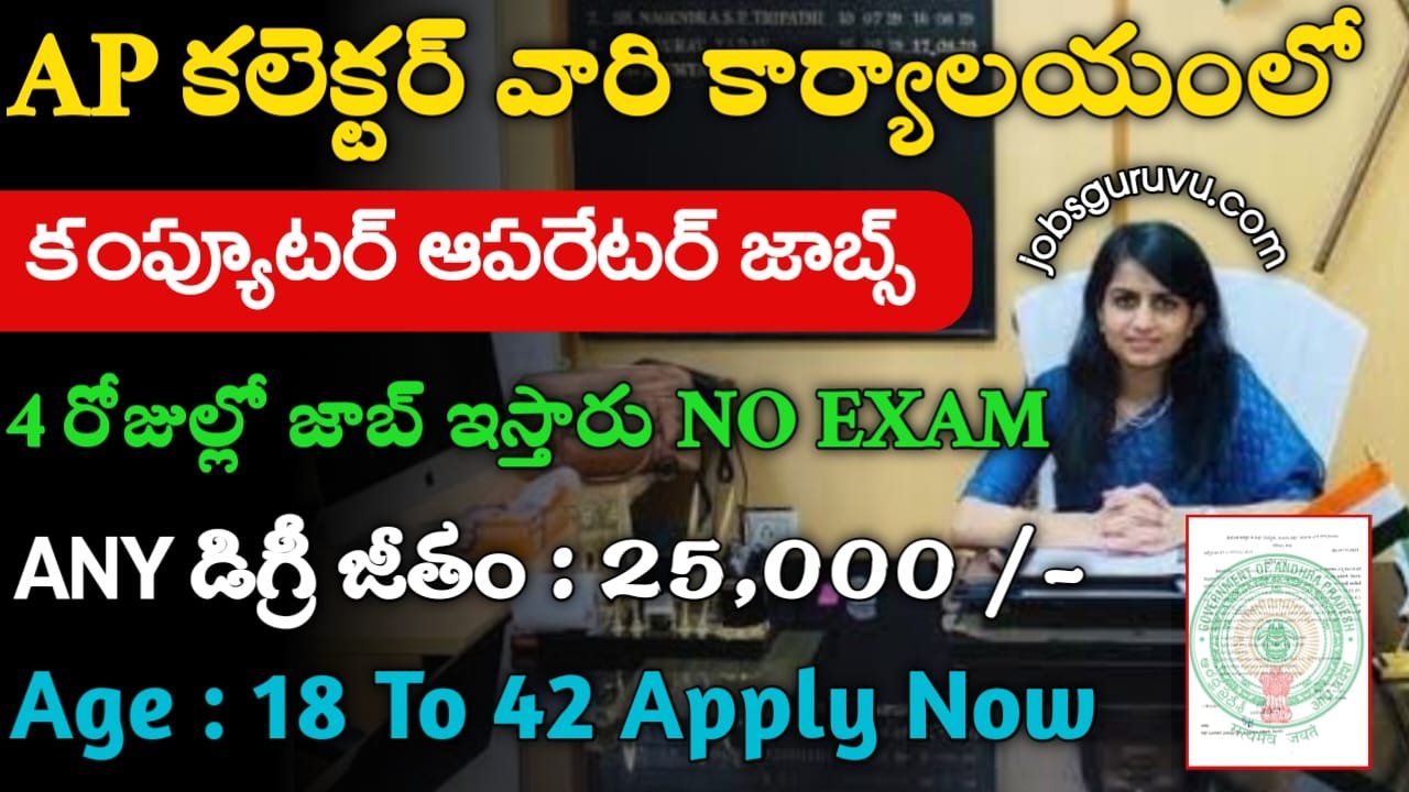 AP Collector Office Jobs 2024