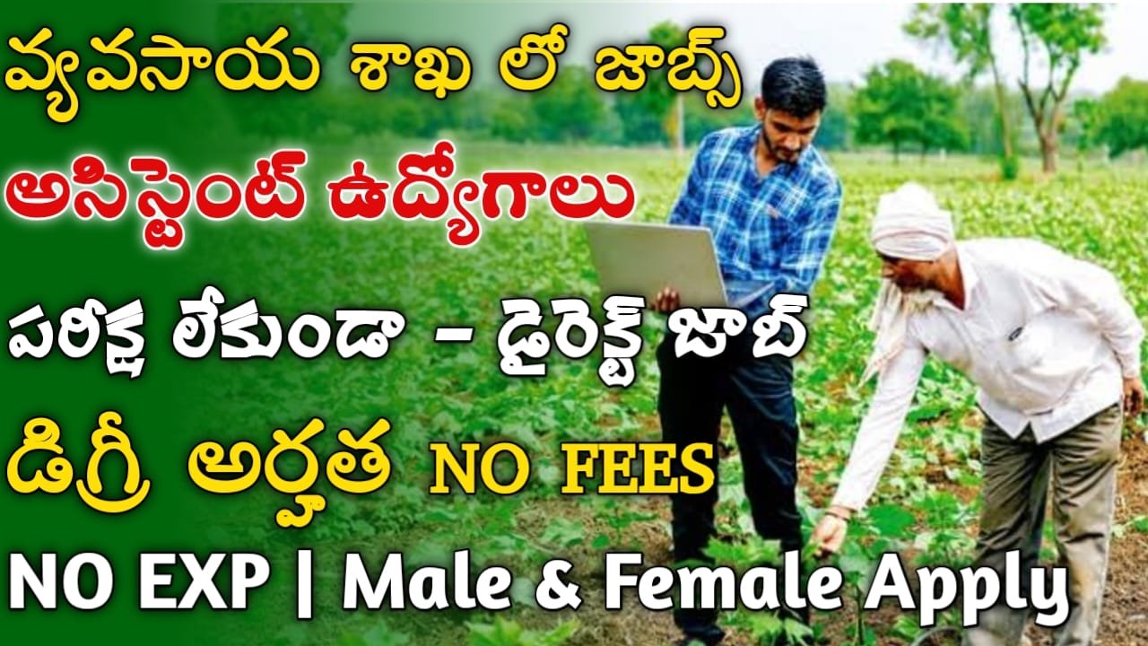 Agriculture Dept Jobs 2024