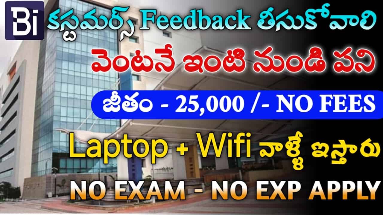 BrandIntelle Work From Home Jobs