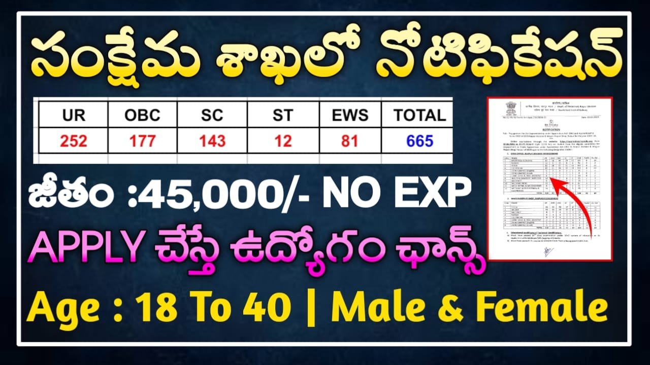 DRRMLIMS Jobs Notification 2024