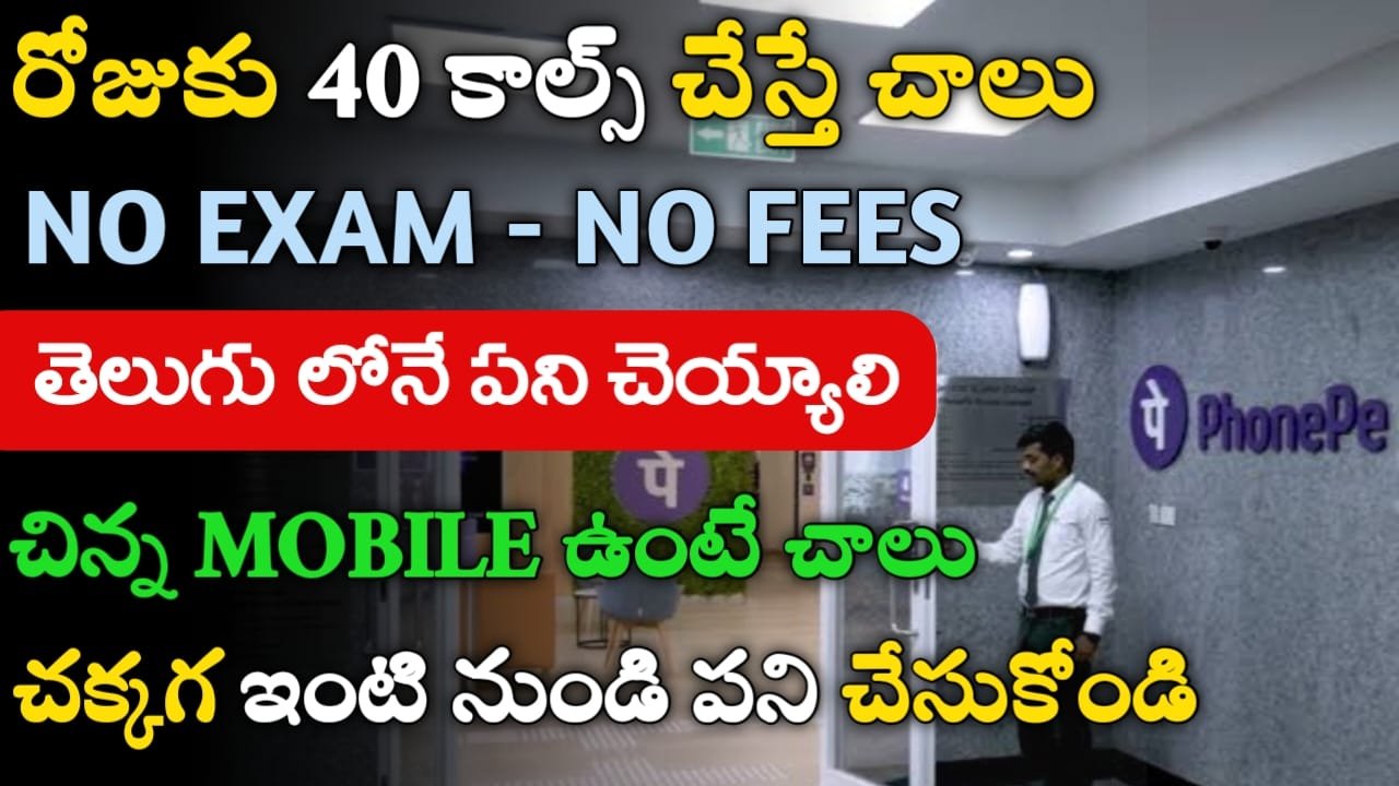 Phonepe Work From Home Jobs