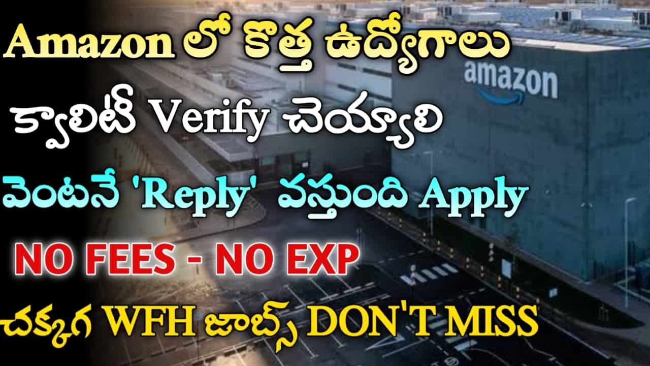 Amazon Quality Associate Jobs