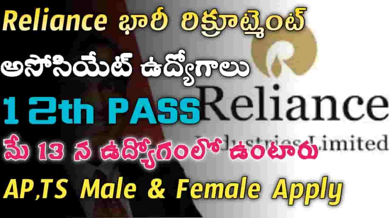 Reliance Associate Jobs