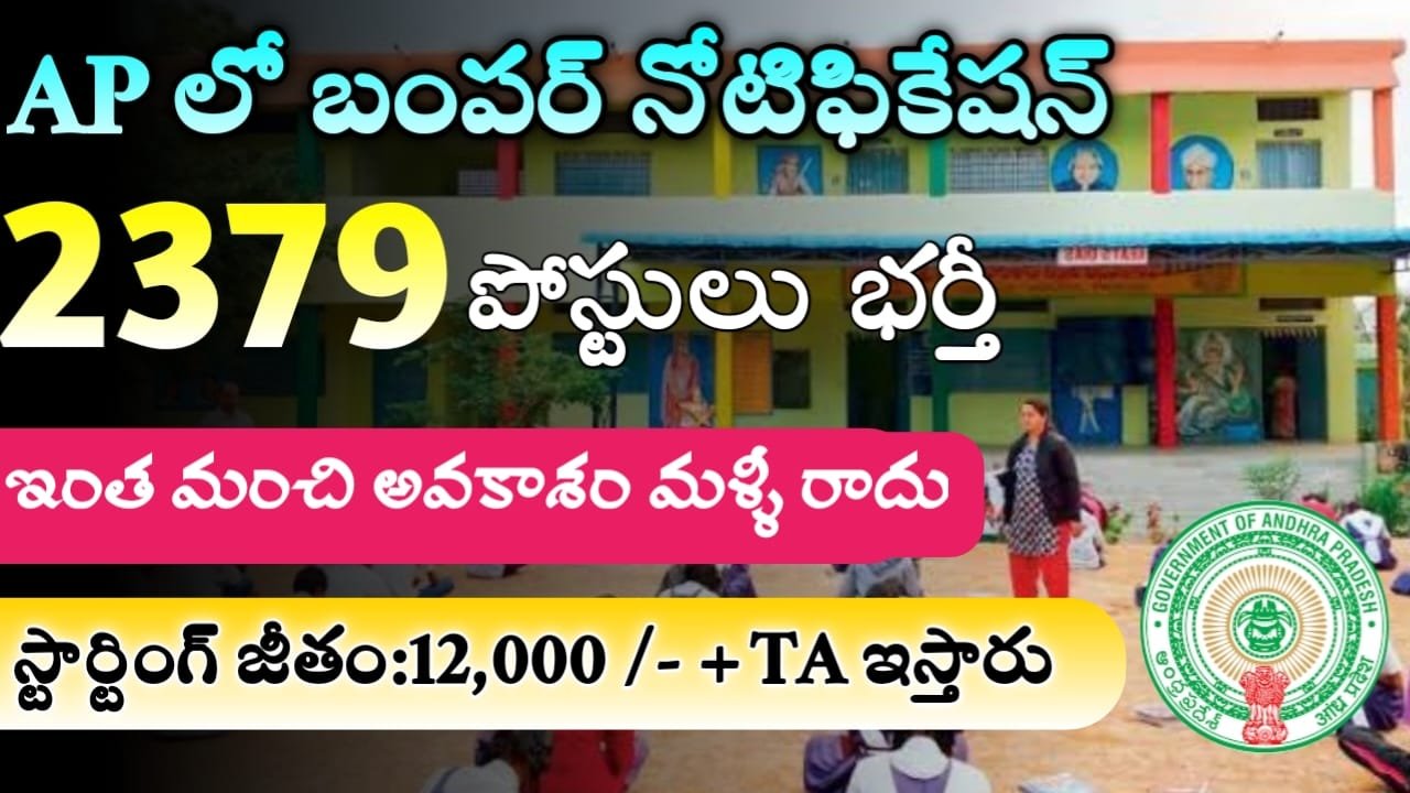 AP Government Internships