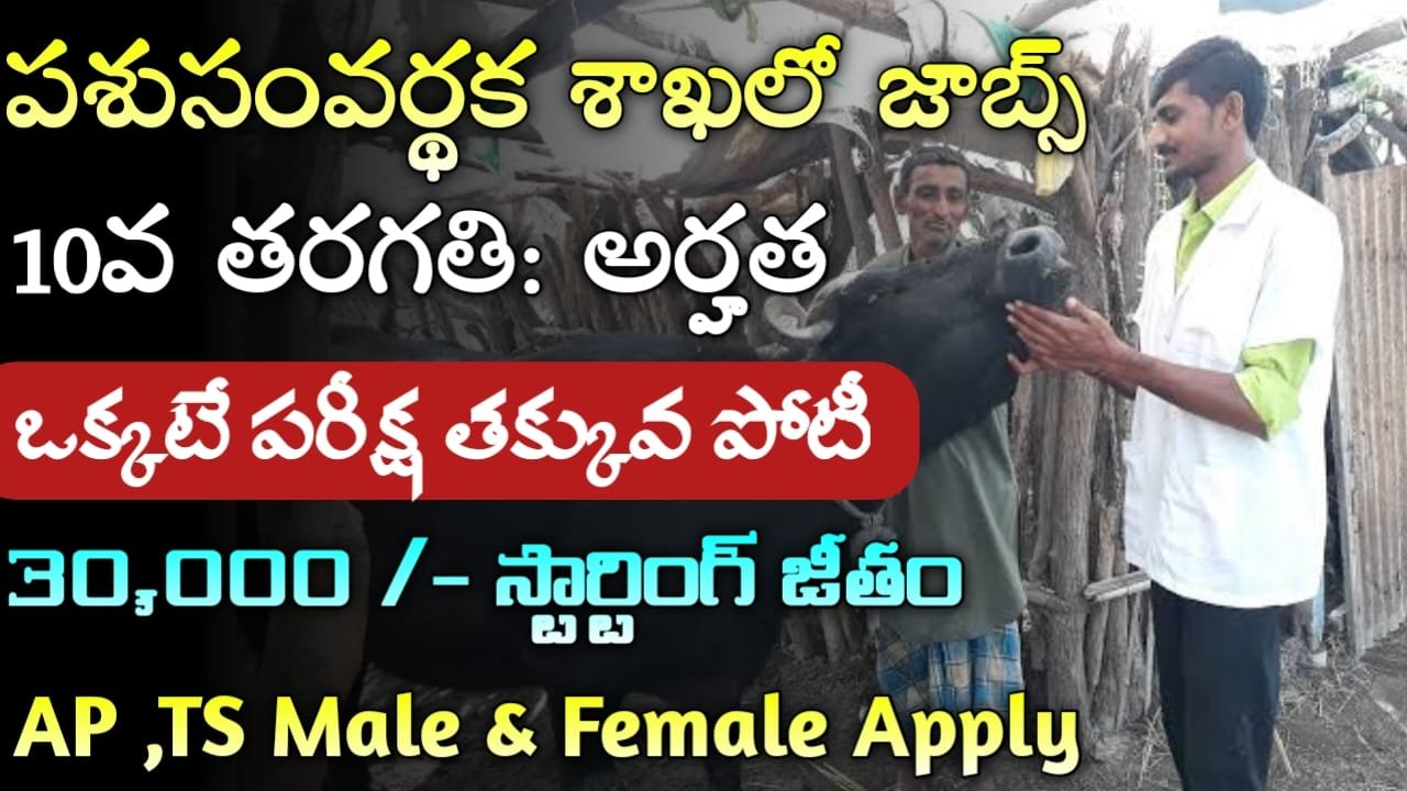 Animal Husbandry Recruitment