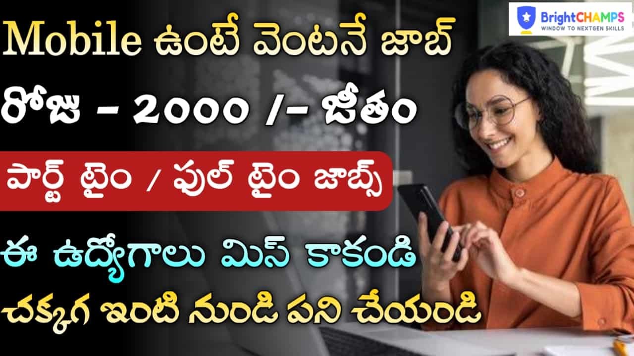 Bright Champs Recruitment 2024