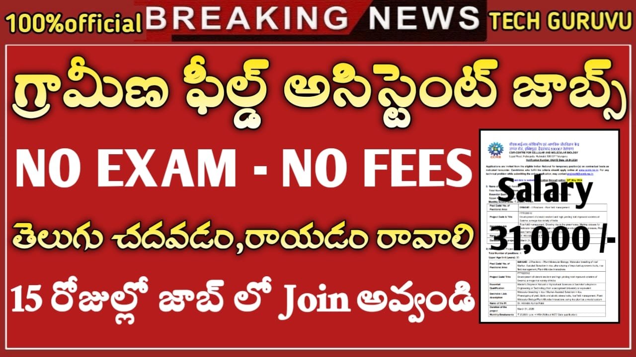 Field Assistant Jobs Notification 2024