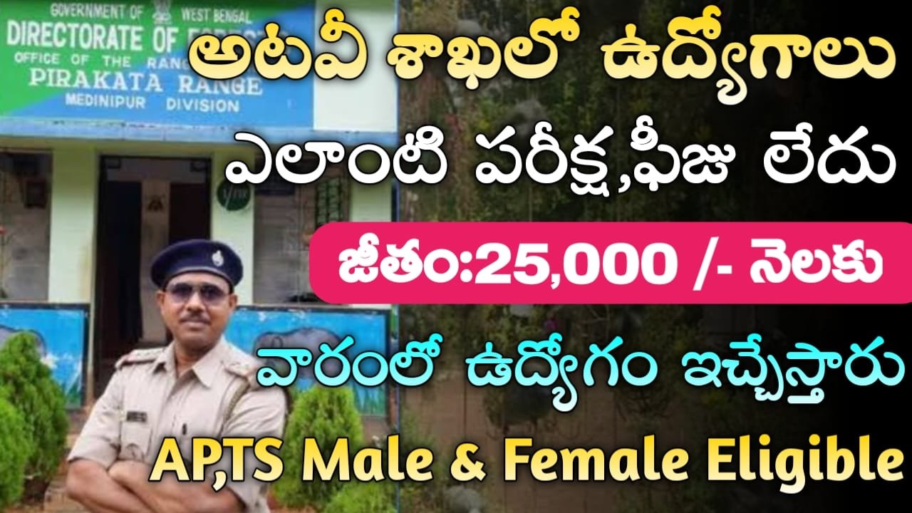 Forest Dept Jobs 2024