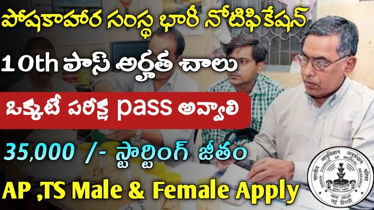 NIN Recruitment 2024