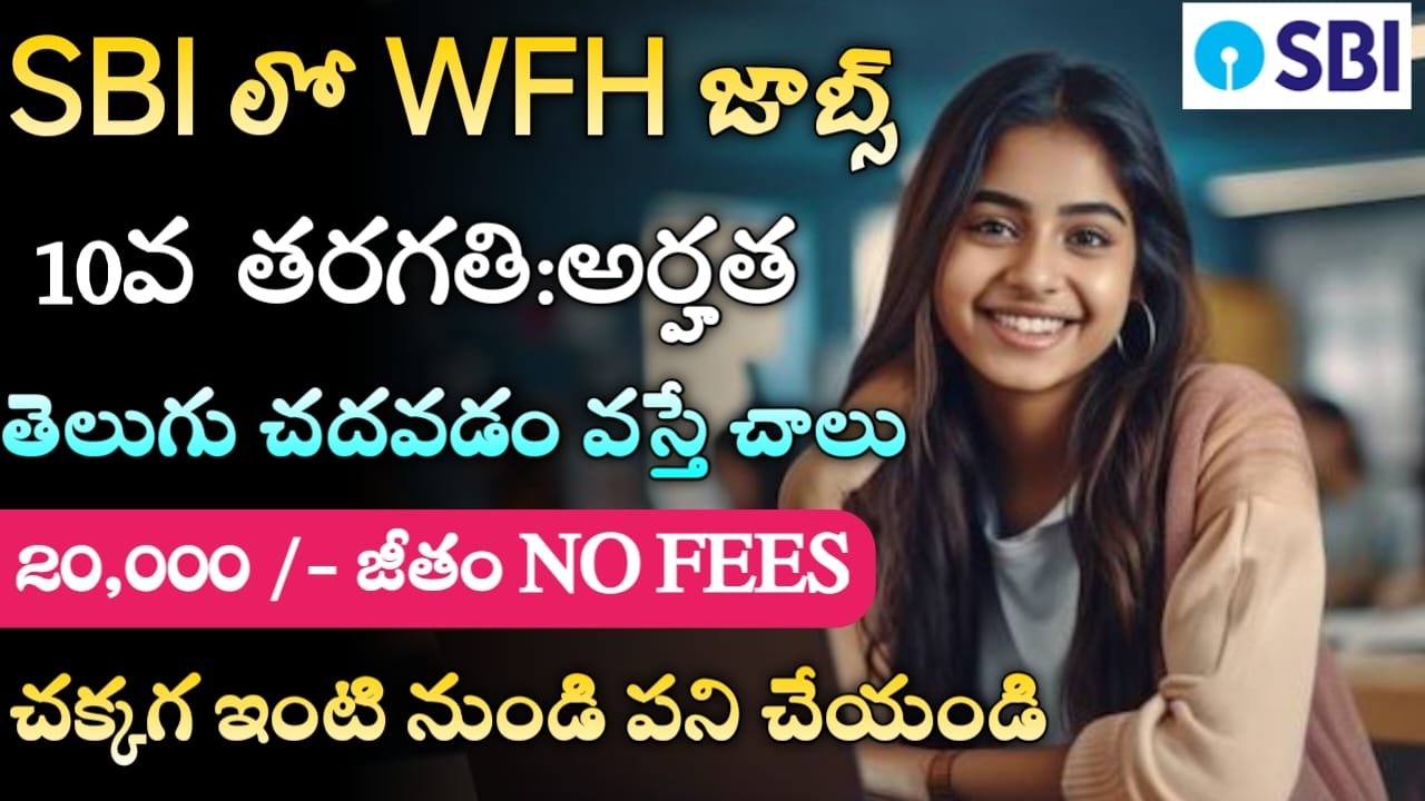 SBI లో 10వ తరగతి ఇంటి నుండి పని జాబ్స్ SBI Work From Home Jobs