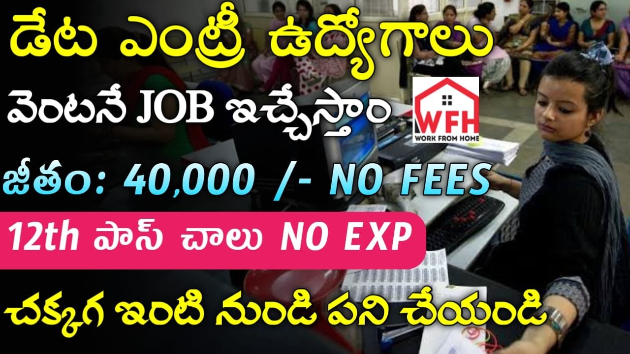 HIKINEX Recruitment 2024