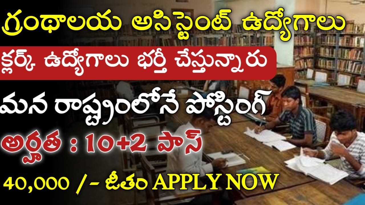 Library Govt Jobs 2024