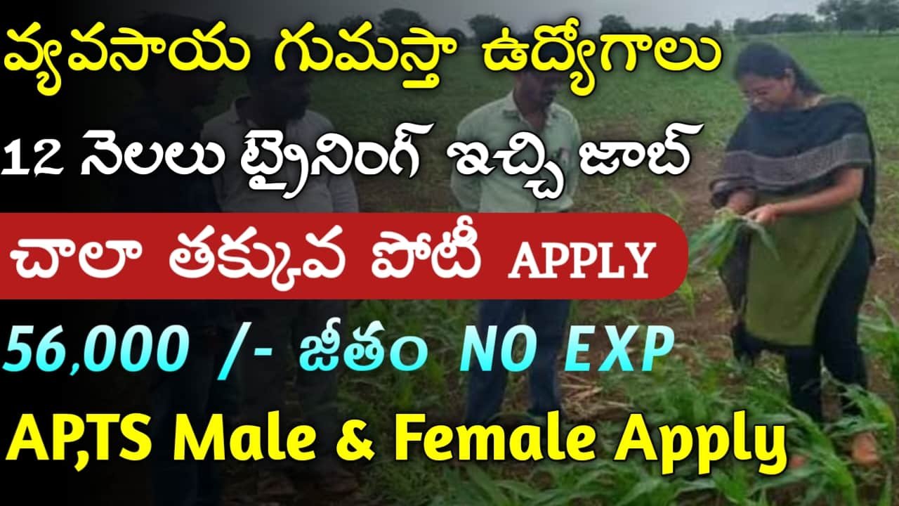 NFL Notification 2024