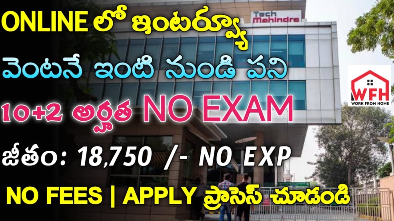 Tech Mahindra Jobs 2024