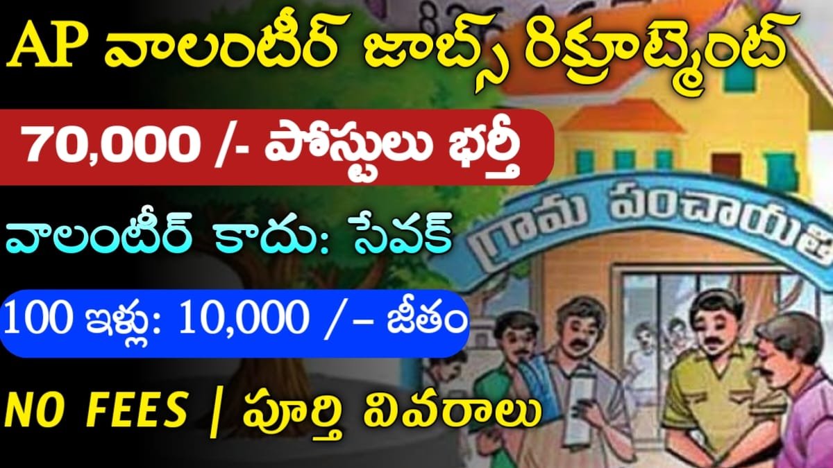 AP Volunteer Jobs 2024