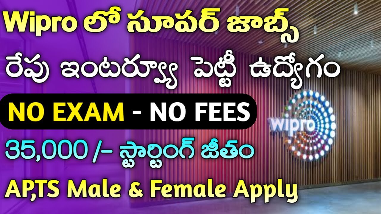 Wipro Fresher Jobs 2024