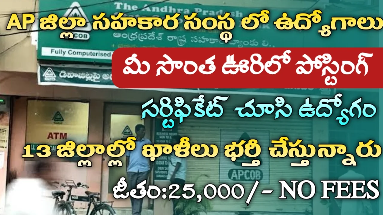 APCOB Recruitment 2024