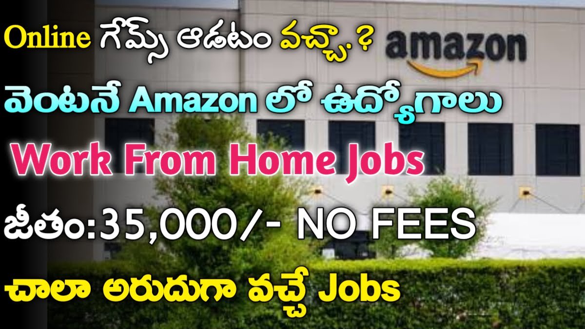 Amazon New Jobs 2024