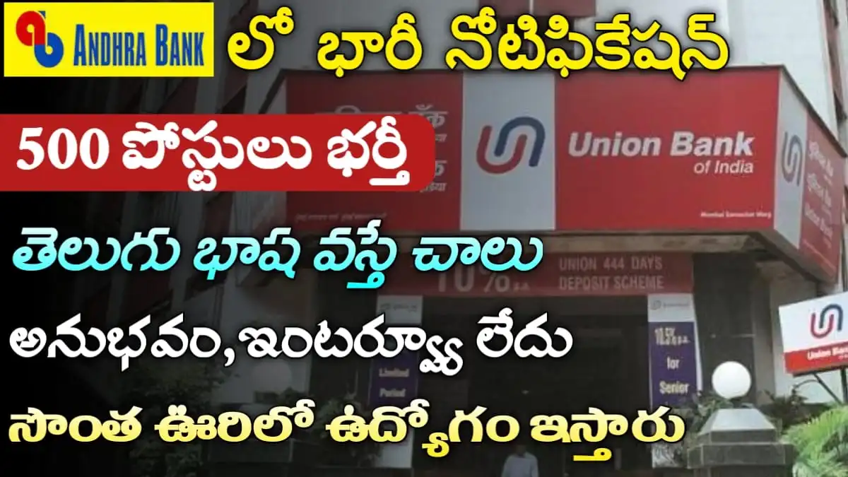Andhra Bank Jobs 2024