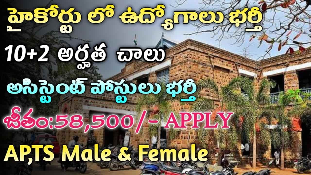 High Court Jobs 2024