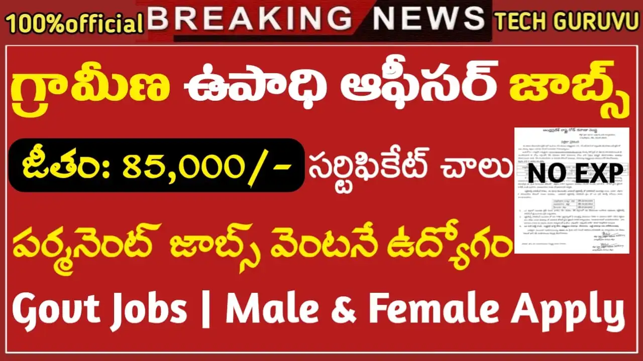 Nainital Bank Recruitment 2024