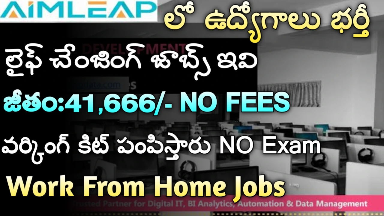 Amileap Jobs 2024