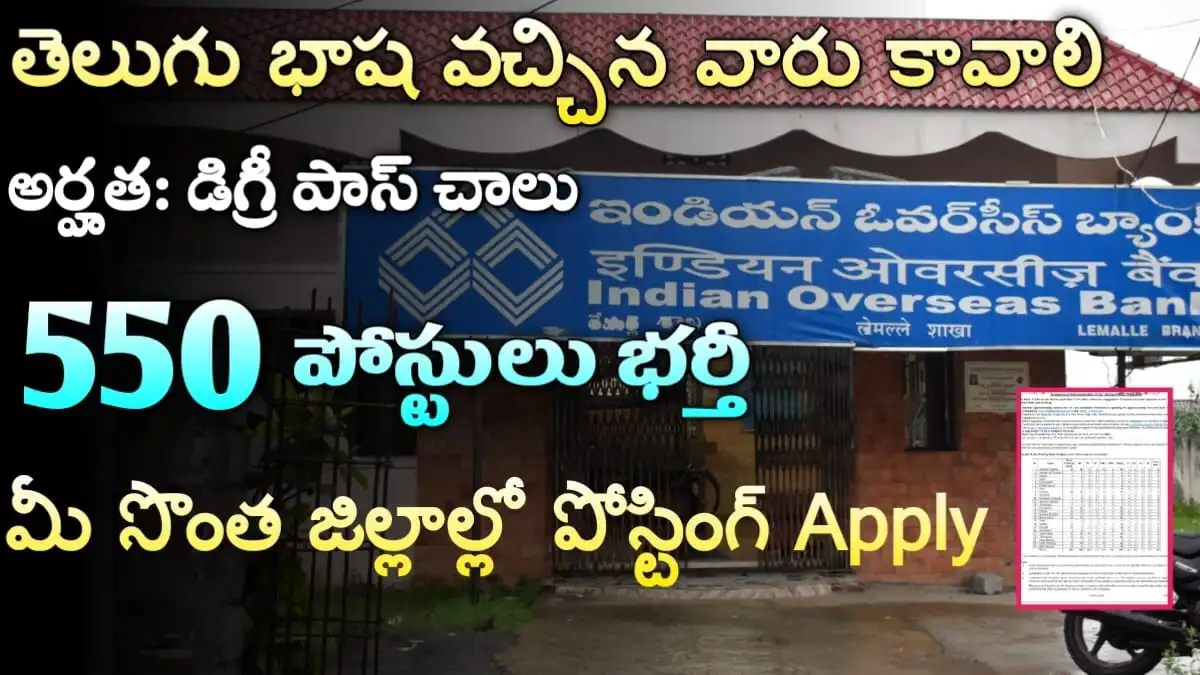 Indian Overseas Bank Recruitment 2024