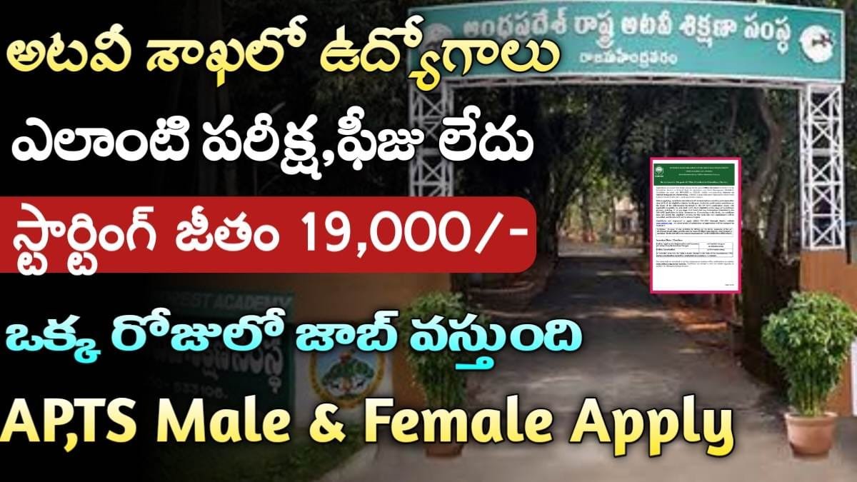 Forest Dept Jobs 2024