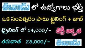 Eenadu Jobs Notification 2024