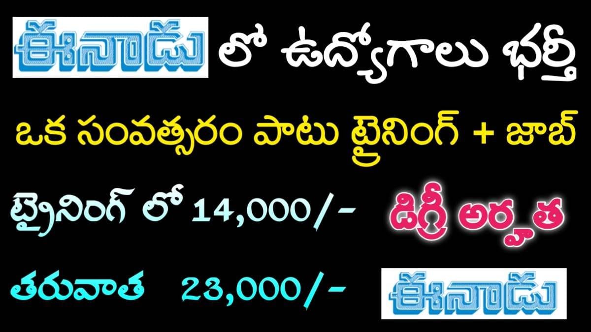 Eenadu Jobs Notification 2024