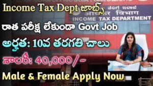 Income Tax Job Vacancy 2024
