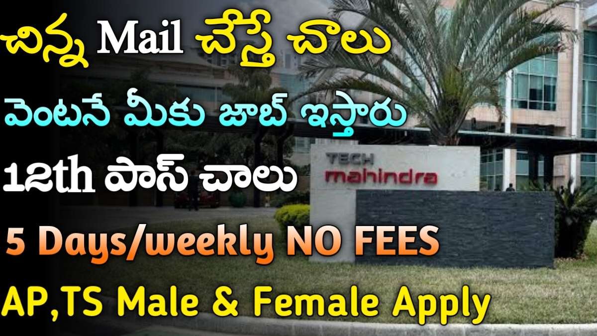 Tech Mahindra New Notification 2024