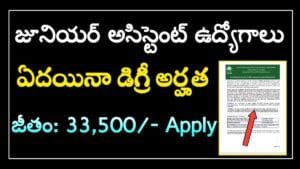 Junior Assistant Jobs
