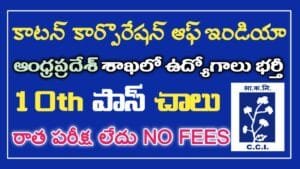 AP CCI Jobs 2024