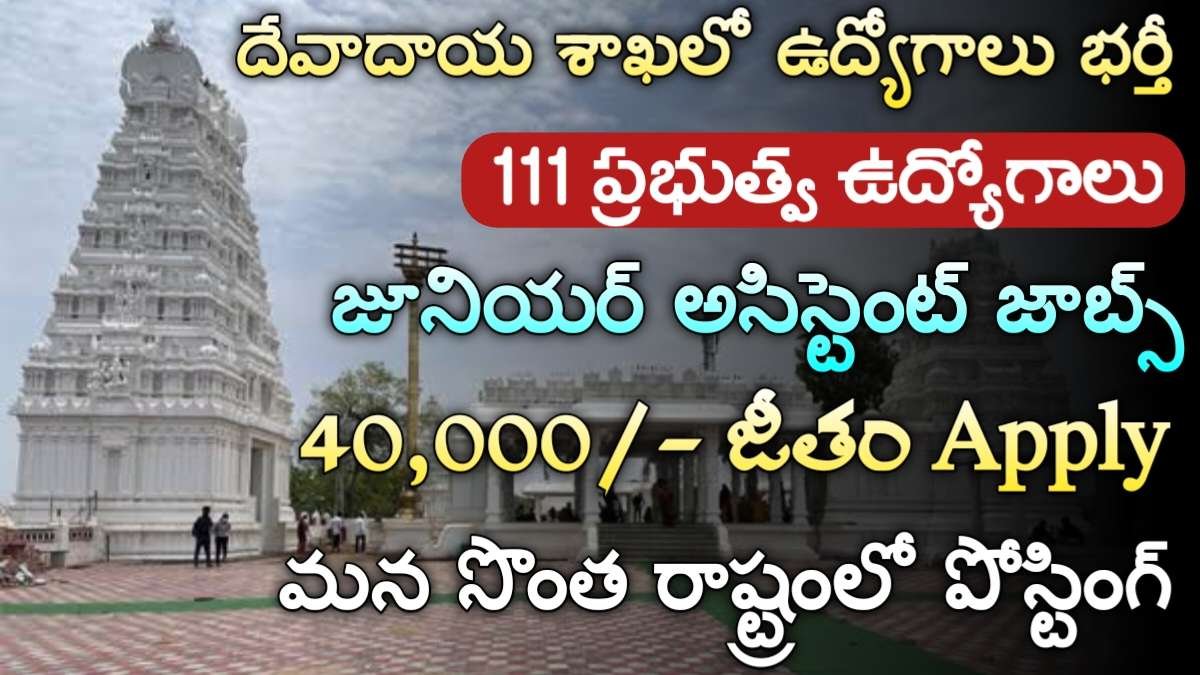 TS Endowment Jobs 2024