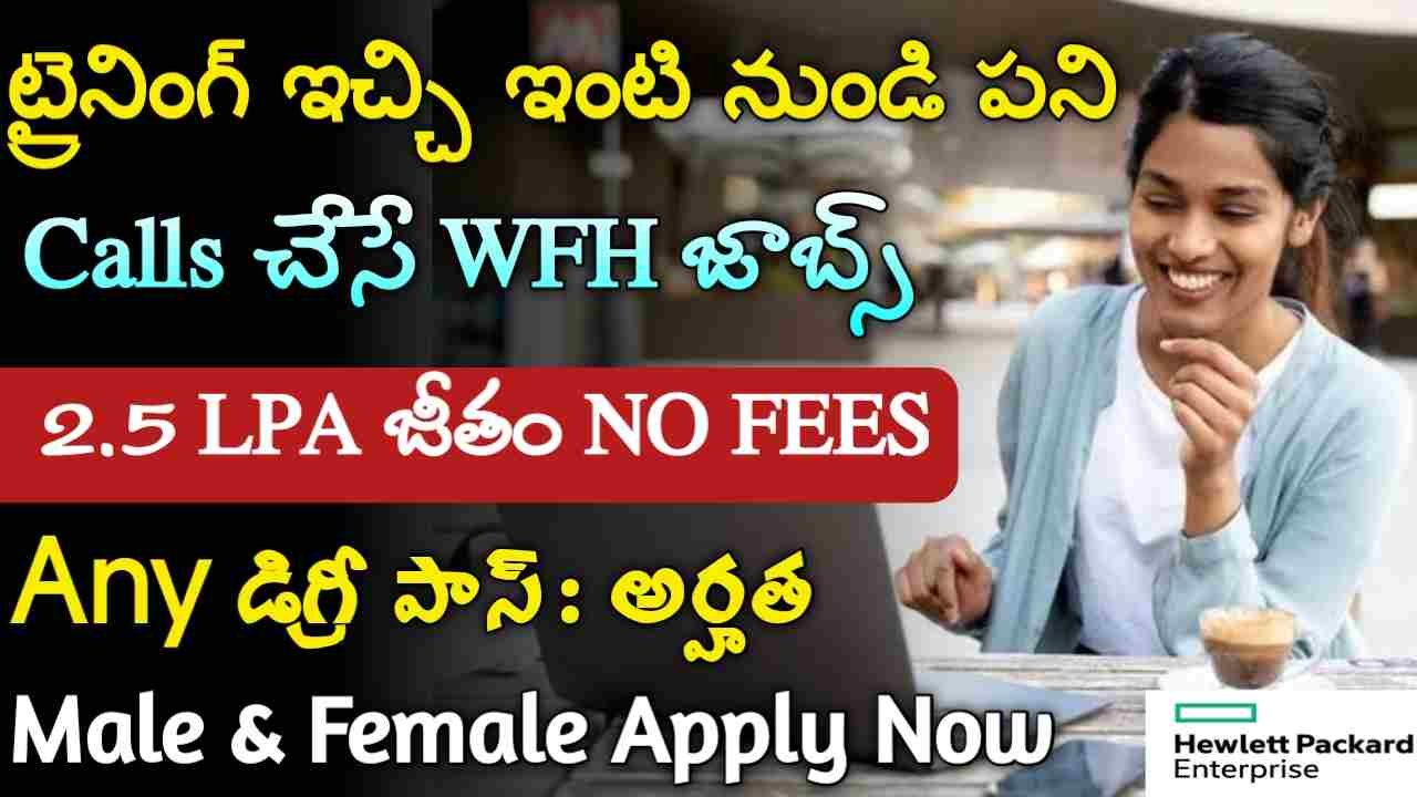 Hewlett Packard Jobs 2024