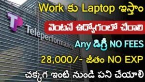 Teleperformance Non Voice Jobs