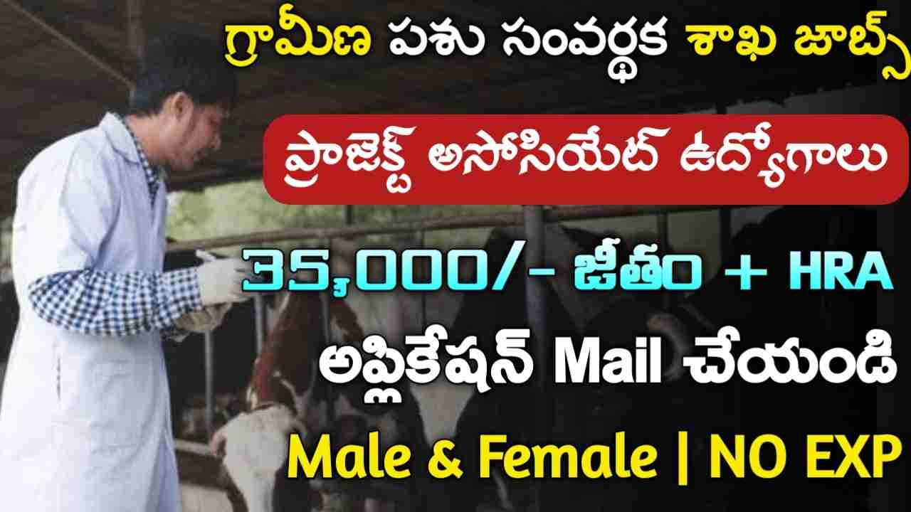 NIAB Recruitment 2024