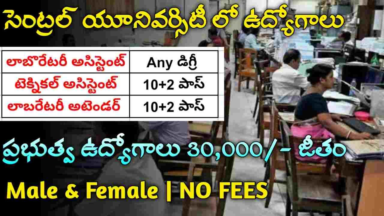 CURAJ Recruitment 2024