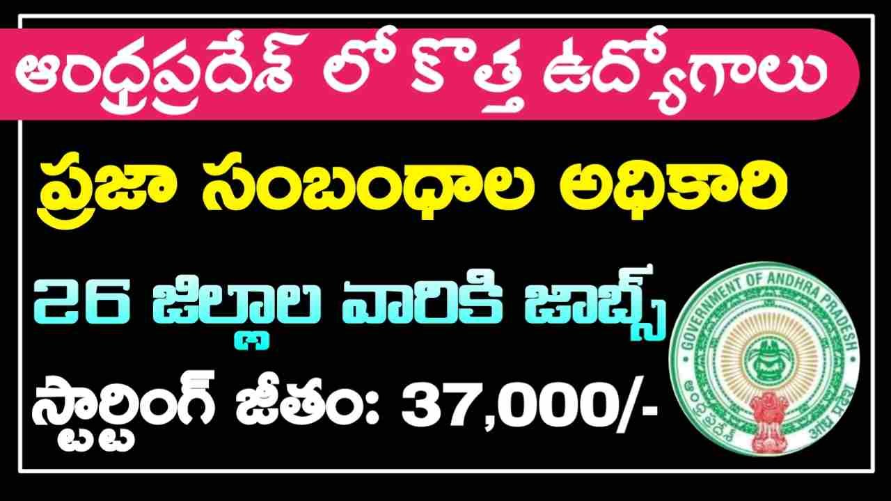 AP PRO Jobs Recruitment 2024