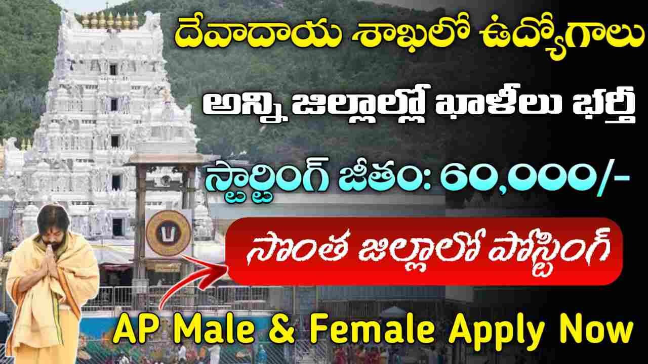 AP Endowment Department Jobs 2024