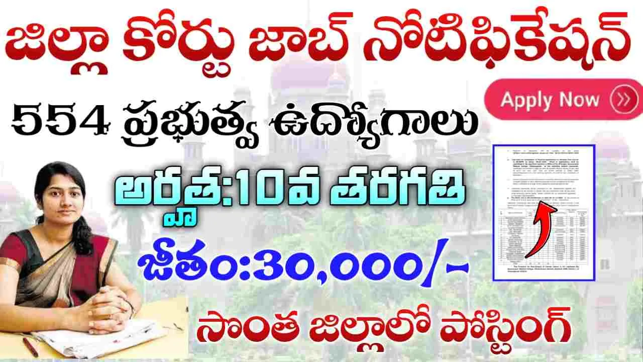 District Court Jobs 2025
