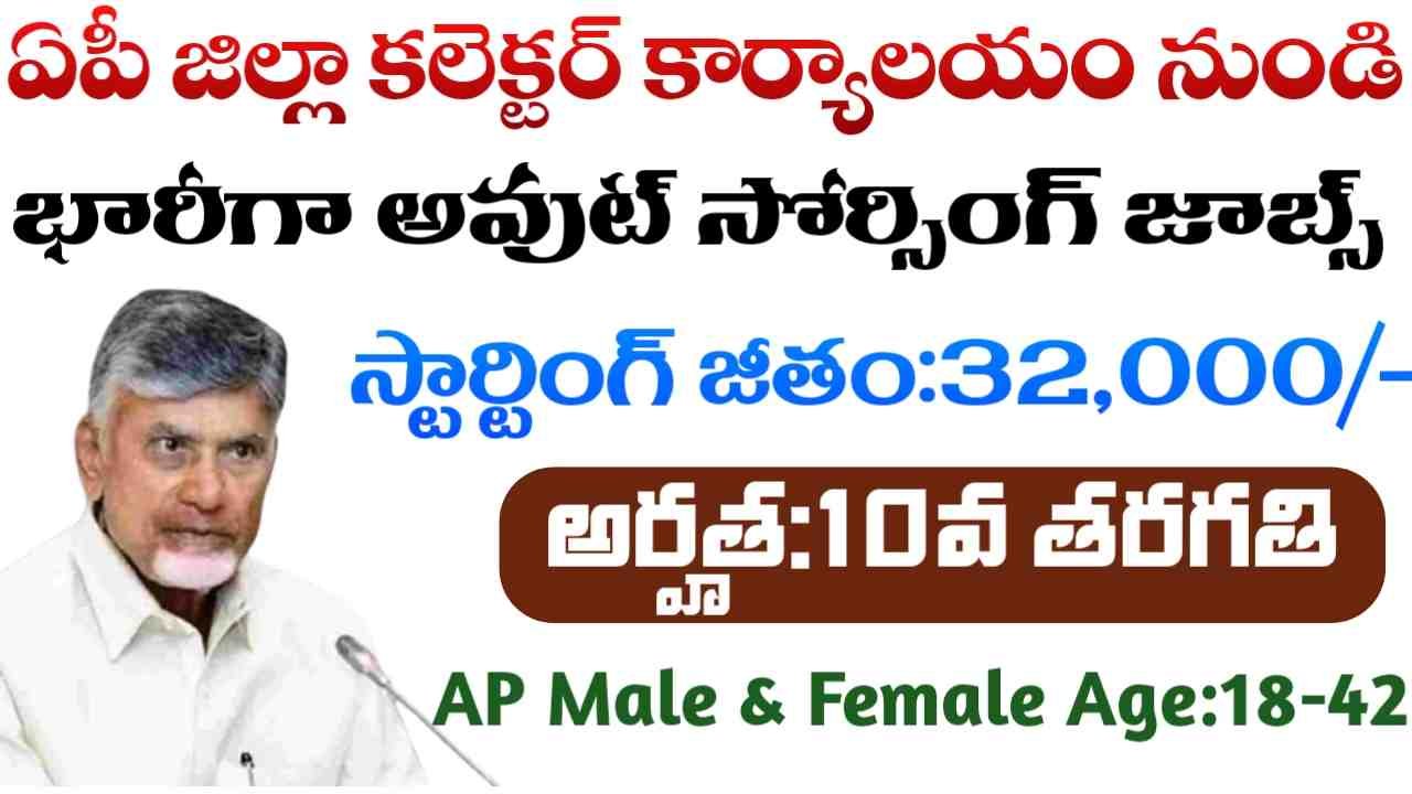 AP Collector Office Jobs 2025