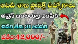 WII Notification 2025