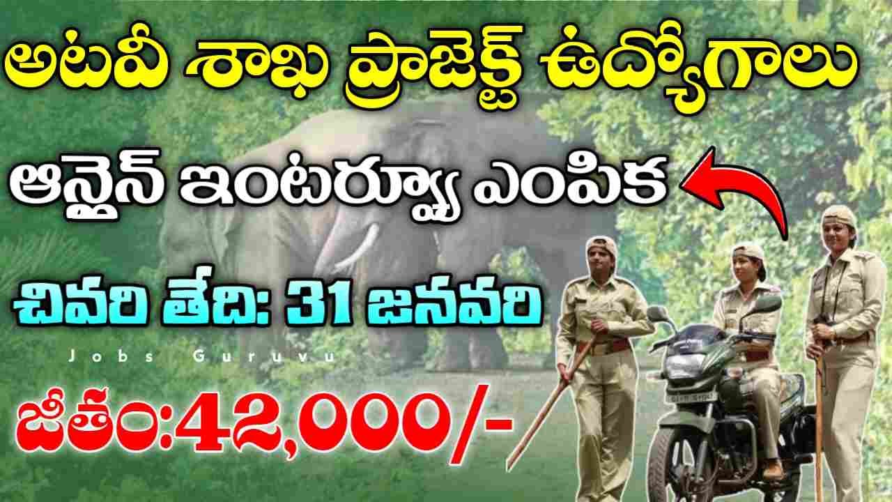 WII Notification 2025