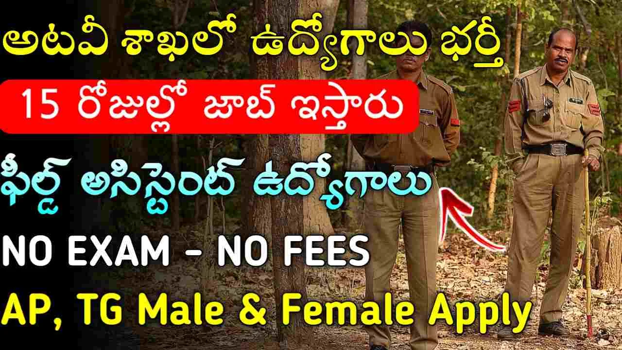 Forest Jobs 2025