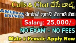 American Express Work From Home Jobs