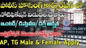 DPHCL Recruitment 2025